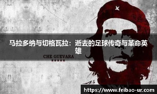 星空体育手机最新版本