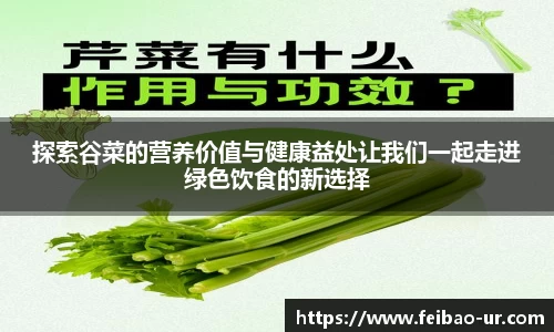 星空体育入口