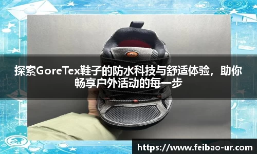 星空体育入口