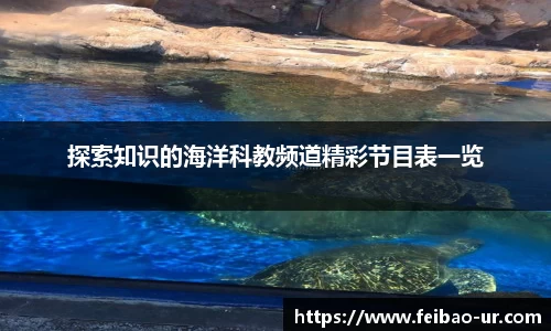 星空体育app下载