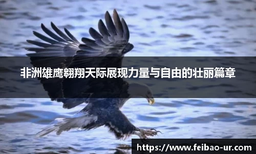星空体育在线登录